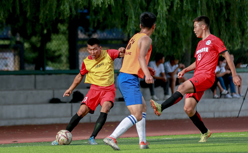 葡萄牙总理：真的认为我们能拿世界杯冠军，C罗仍能发挥作用（葡萄牙总理：坚信我们能夺世界杯，C罗仍能发挥关键作用）